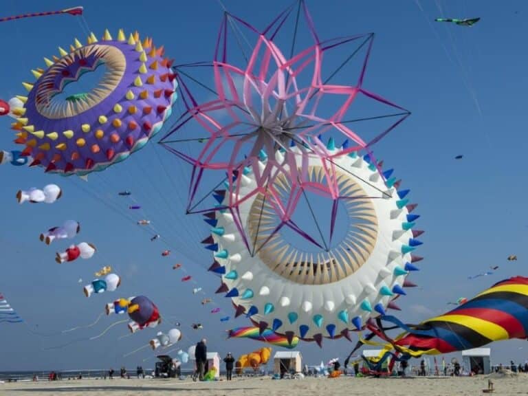 Cerf volants berck sur mer